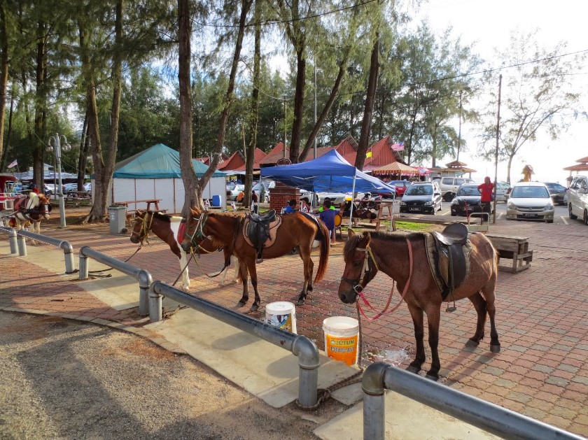 Beraktiviti Outdoor di Pantai Teluk Kemang