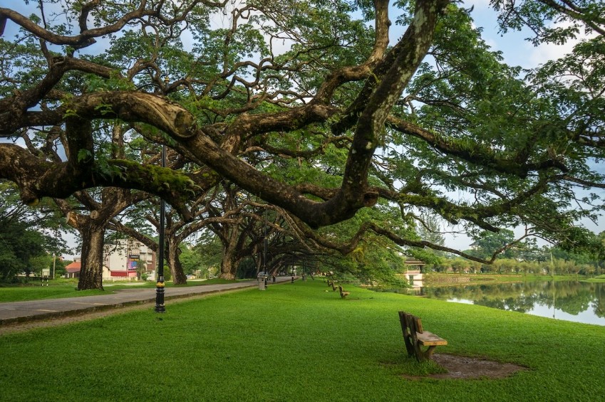Bersantai Di Taman