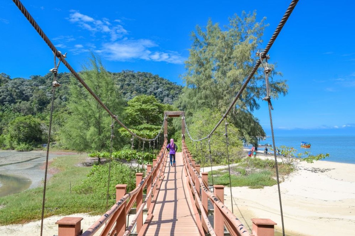 Menjelajahi Jambatan Kanopi