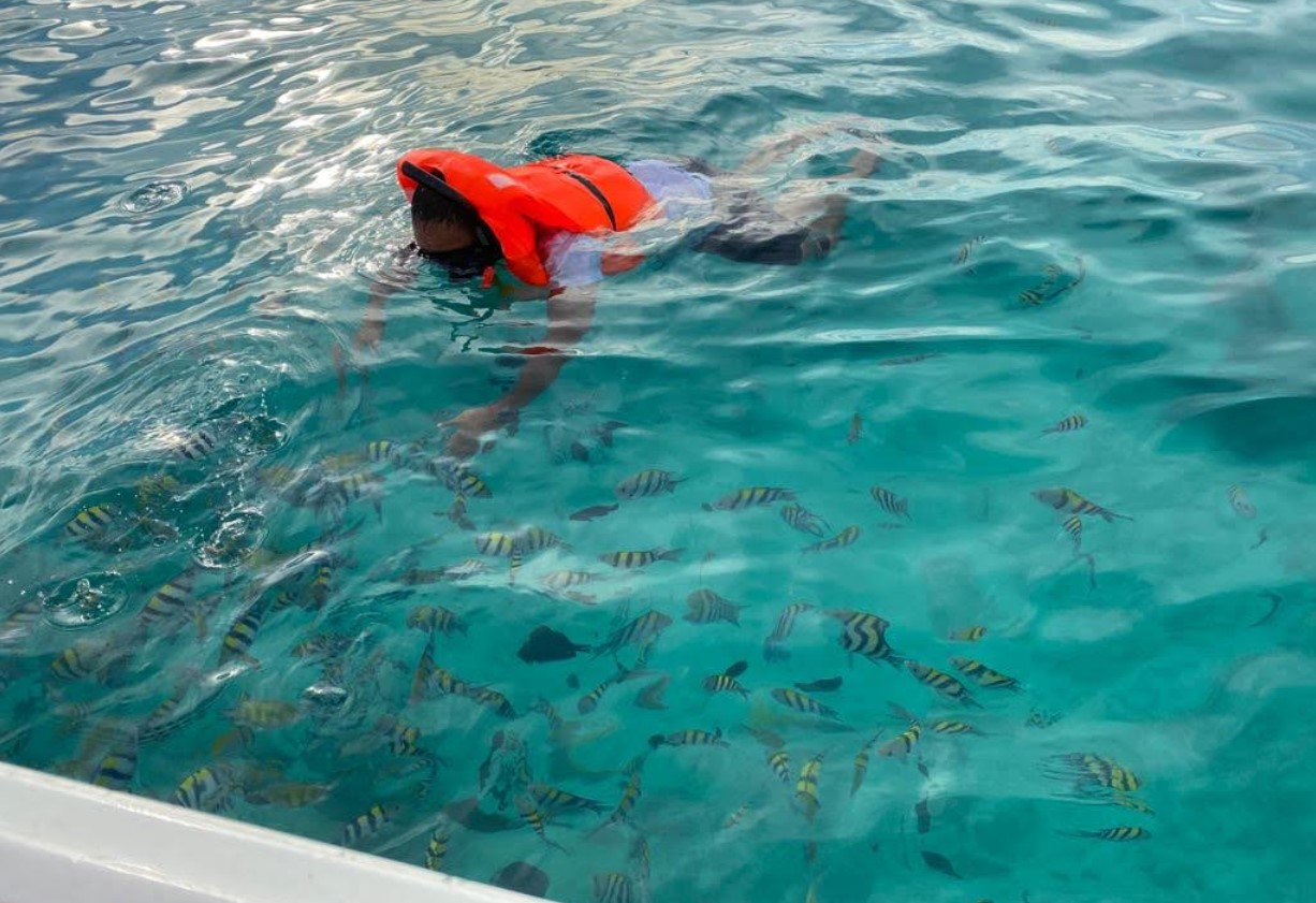 Bersnorkel dan Menyelam