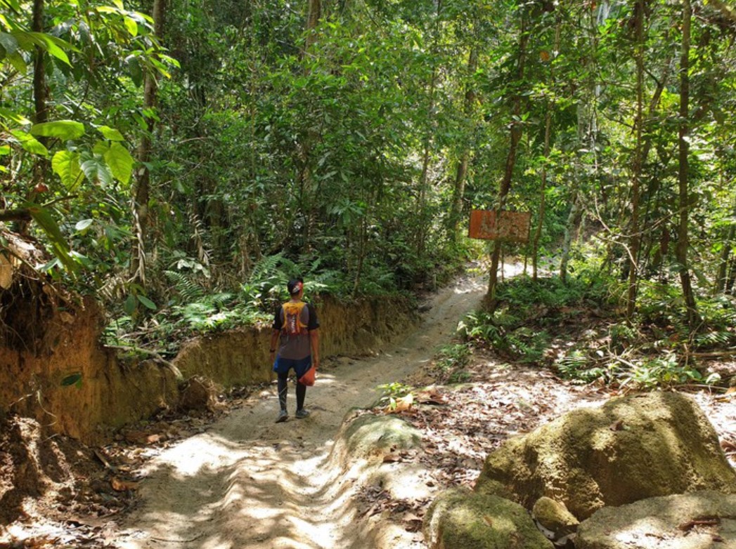 Hiking-dan-Trekking Hiking dan Trekking