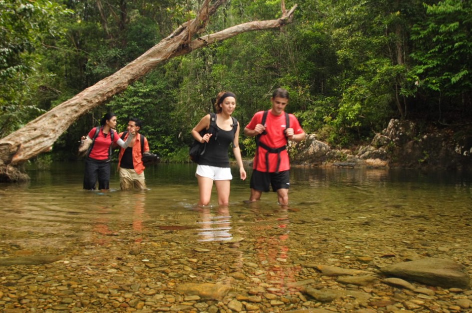 Kembara Hutan