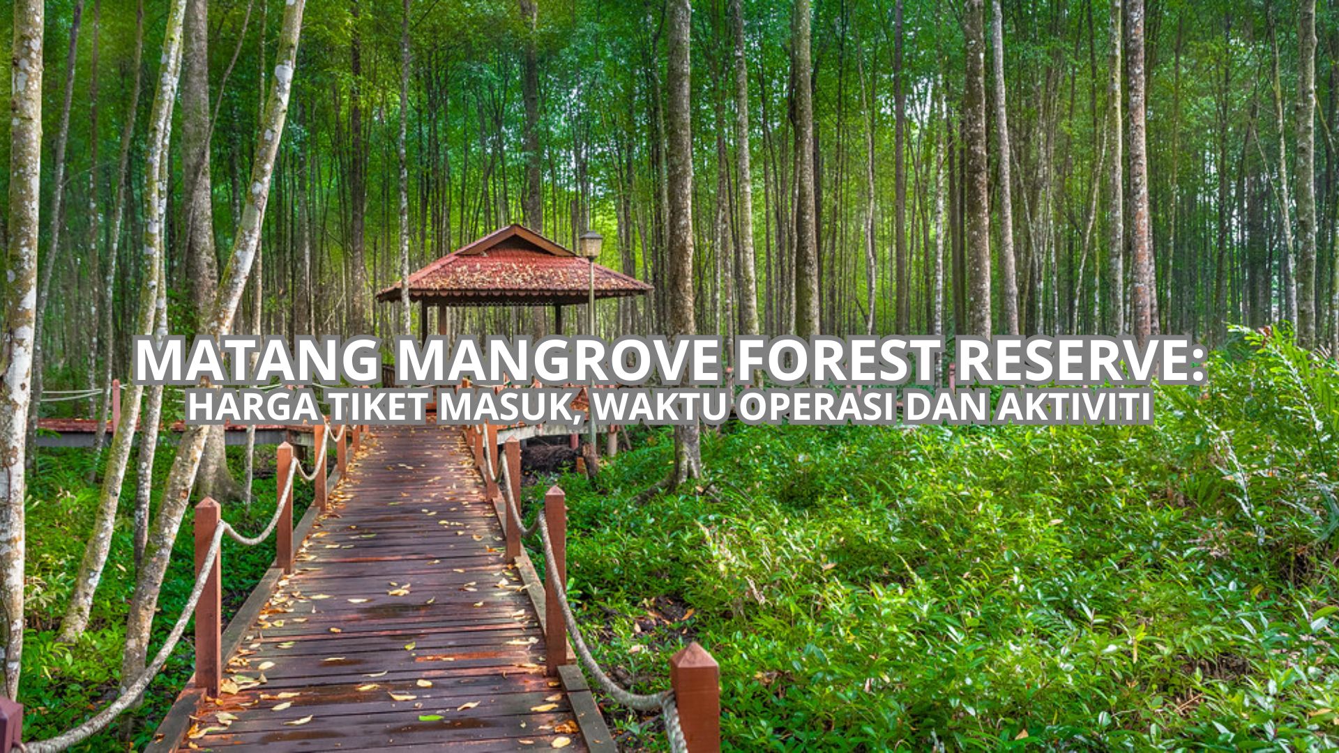 Matang Mangrove Forest Reserve: Harga Tiket, Waktu Operasi & Aktiviti (2026)