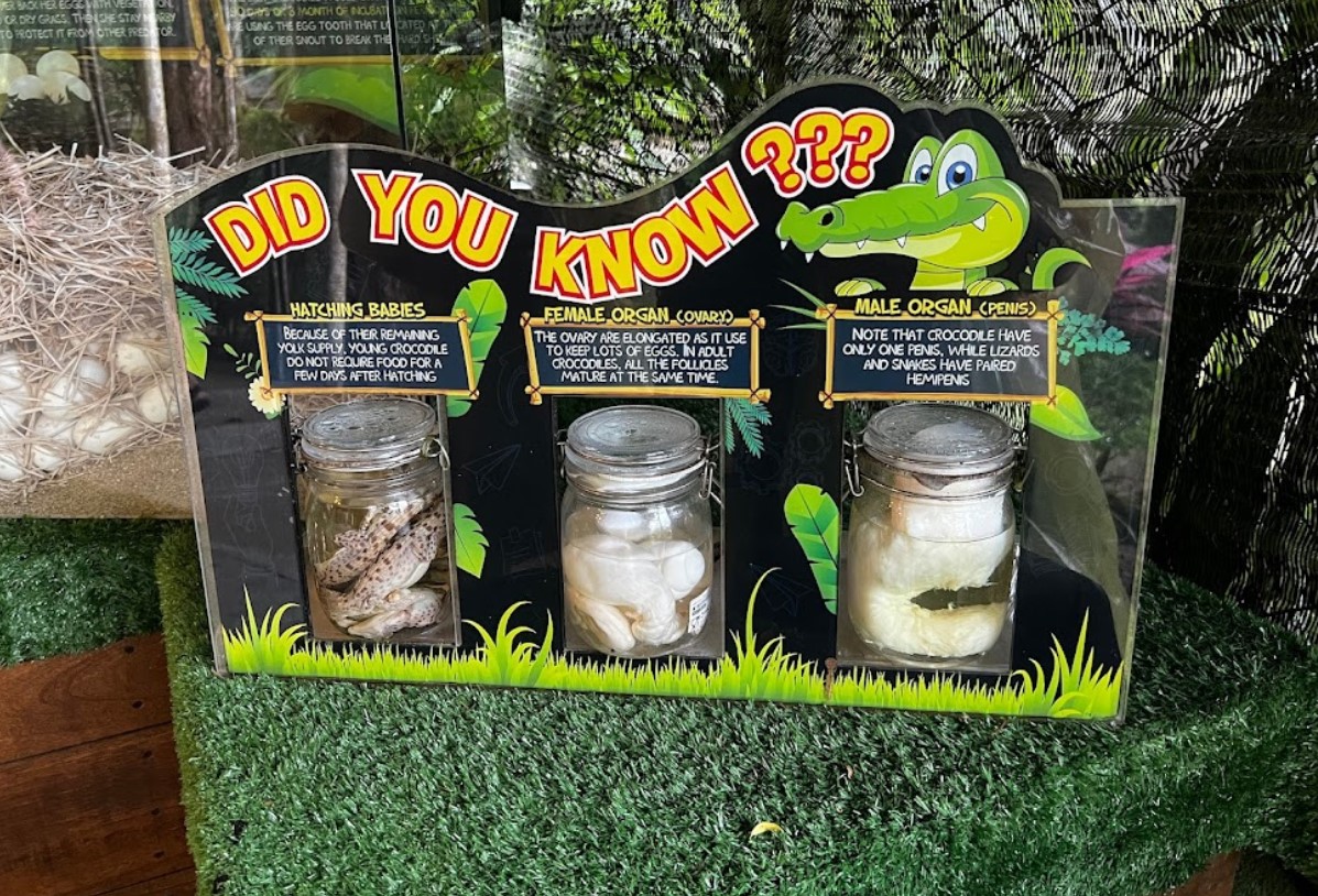 Melawat Pusat Pameran