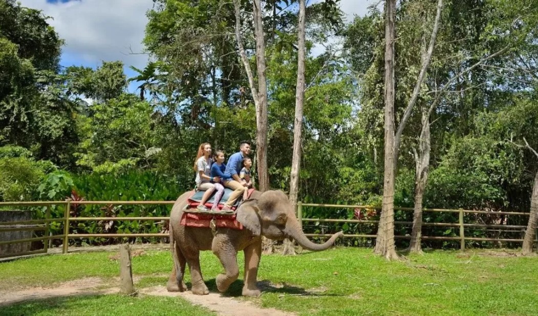 Menaiki Gajah
