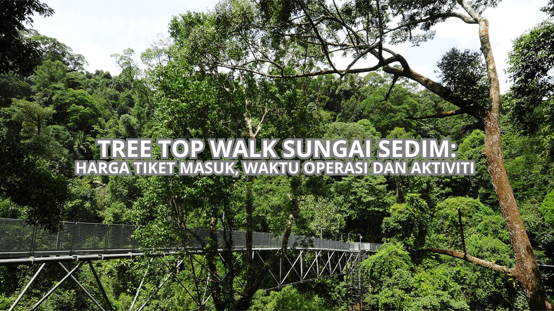 Tree Top Walk Sungai Sedim: Harga Tiket, Waktu Operasi & Aktiviti (2026)