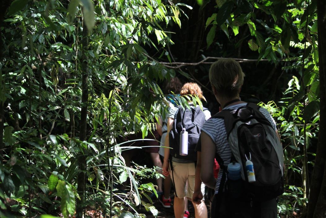 Hiking dan Trekking