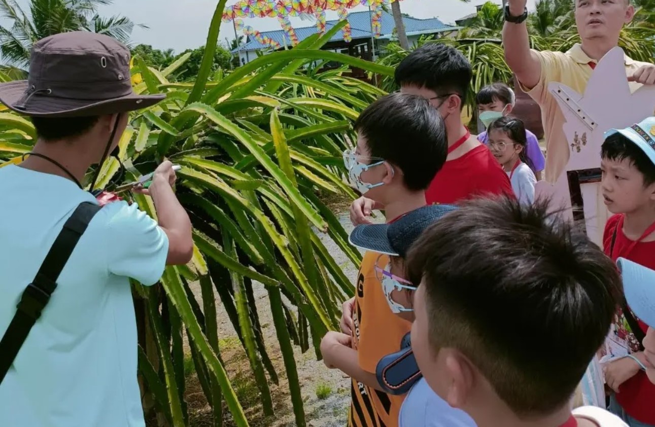 Lawatan Berpandu ke HL Dragon Fruit Eco Farm