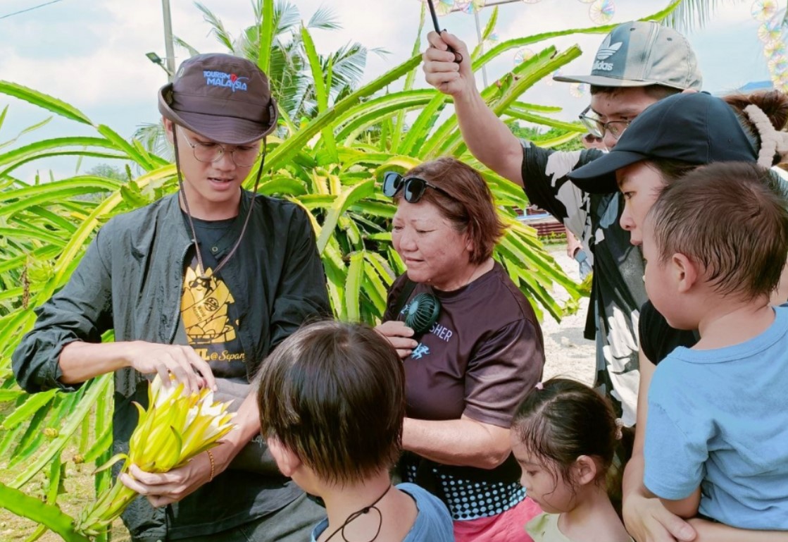 Mengalami Proses Penyerbukan Bunga Buah Naga